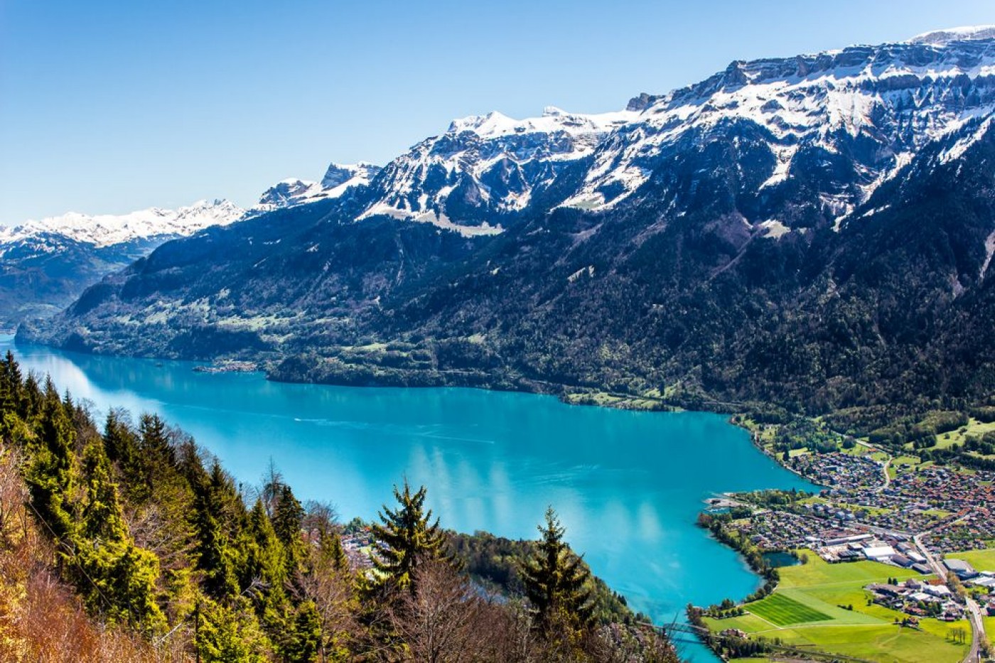 Crociera sul Lago di Thun e Trenino Verde delle Alpi